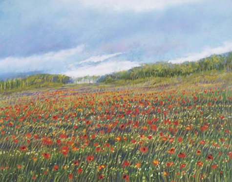 Poppy Field #111