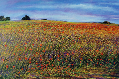 Poppy Field # 89 