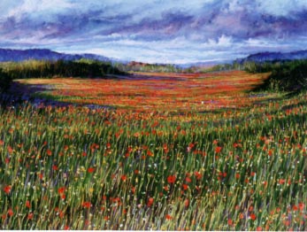 Poppy Field # 53