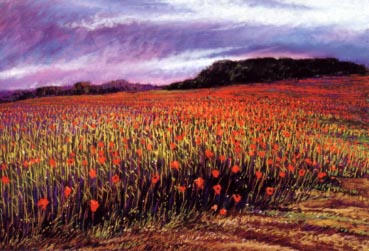 Poppy Field # 56