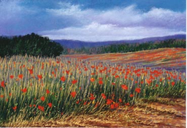 Poppy Fields # 50 