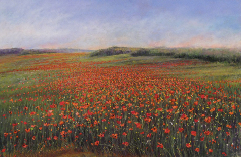 Poppy Fields # 160 