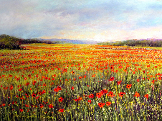 Poppy Field #159