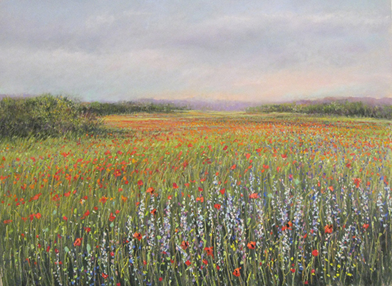 Poppy Field #162