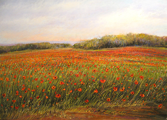 Poppy Field #163