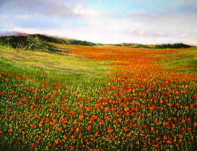 Poppy Field #146