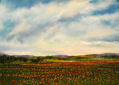 Poppy Field # 131