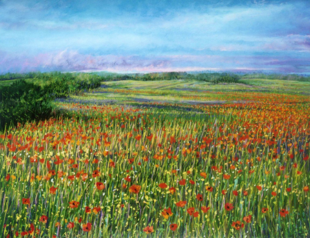 Poppy Field 105