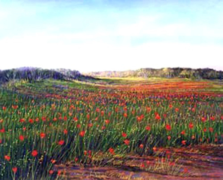 Poppy Field 110