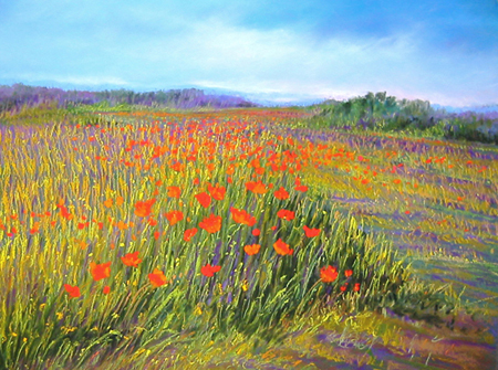 Poppy Field 135