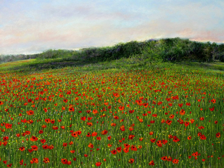 Poppy Field #149