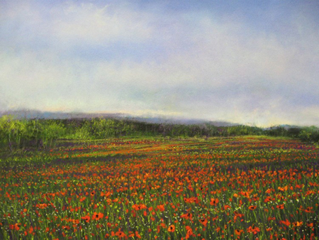 Poppy Field #151