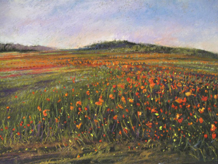 Poppy Field #157